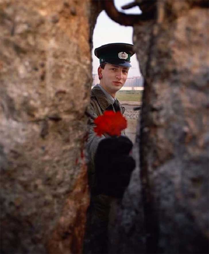Soldato della Germania dell'Est fa passare una rosa attraverso il Muro poco prima della sua demolizione.