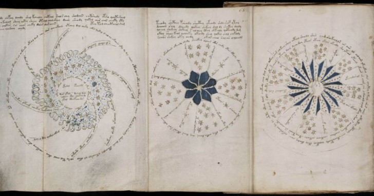 Linguaggio indecifrabile e piante sconosciute: un manoscritto medievale ancora avvolto nel mistero - 1