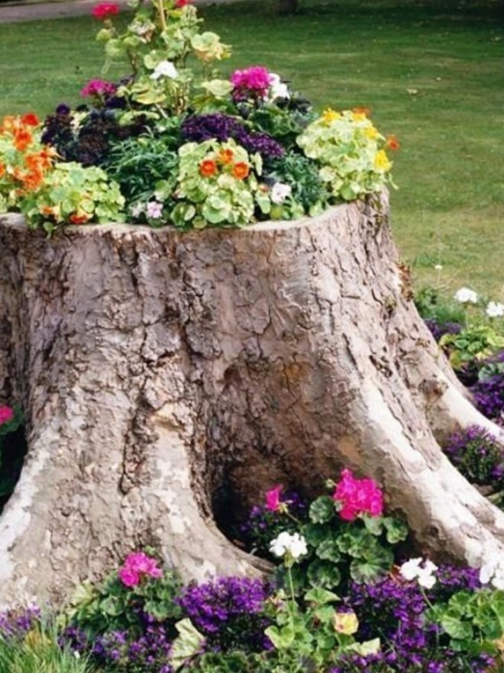 Si dans votre jardin vous avez une souche d’une vieille plante, utilisez son intérieur pour un parterre floral sans essayer de la déraciner!