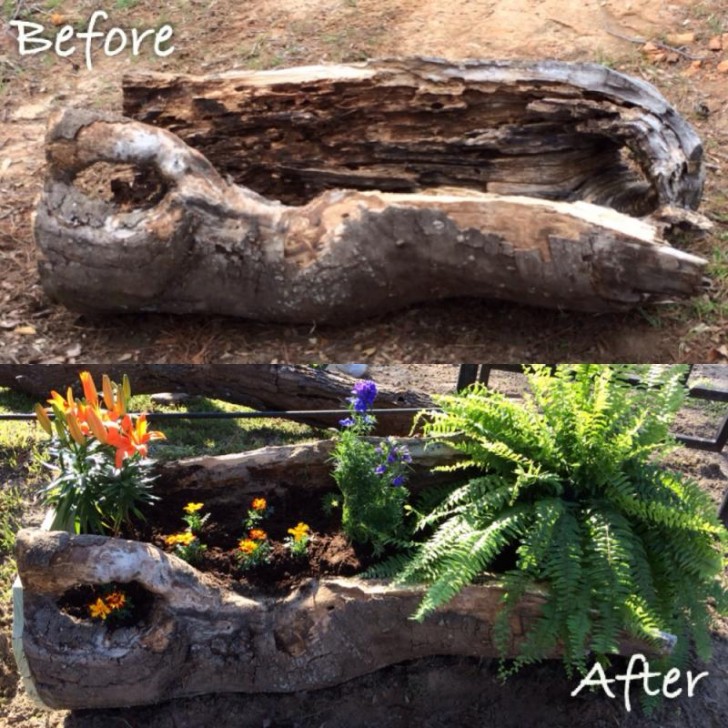 Enrichissez votre jardin avec plusieurs troncs utilisés comme vases: plus les troncs auront des formes différentes, plus votre jardin sera original!