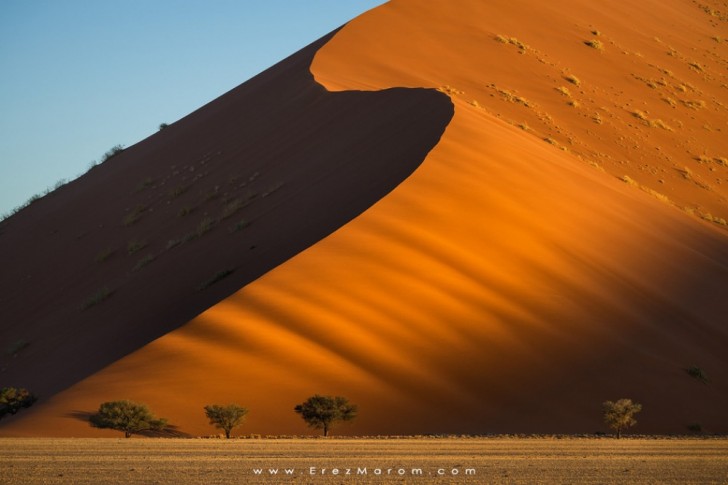 Dunes dans le désert du Namib au coucher du soleil , en Afrique du Sud