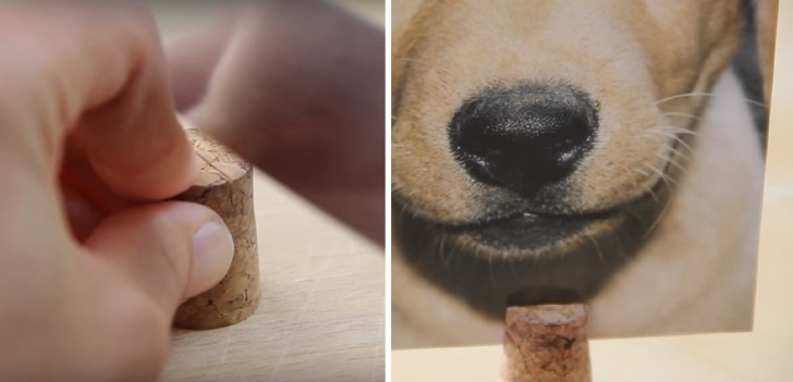 En coupant avec un couteau bien aiguisé le bouchon jusqu'à mi-longueur, vous pouvez créer une fente où insérer vos photos: un cadre photo très original!