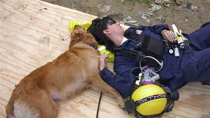 Denise è un ingegnere elettronico con la passione per i cani salvataggio. Si è allenata per più di un anno insieme a Bretagne prima di poter prestare servizio come volontaria nelle situazioni di emergenza.