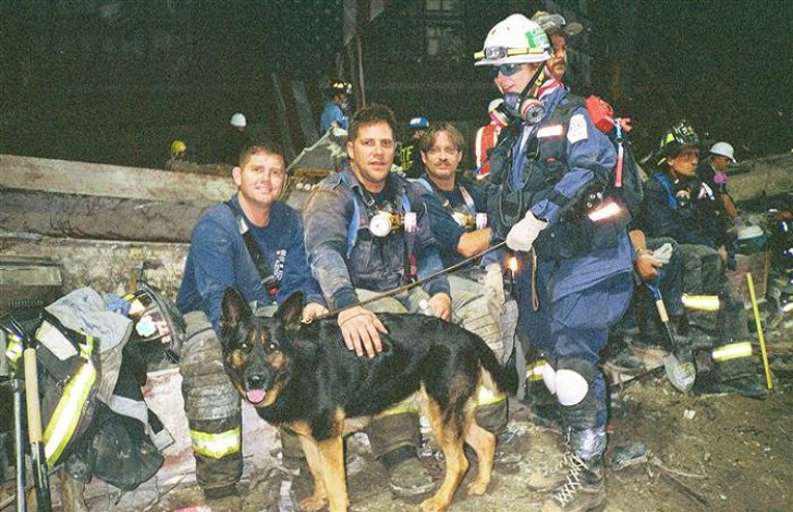 Bretagne, ovviamente, non era l'unico cane salvataggio impiegato nelle operazioni. Nella foto vediamo Roseann DeLuca e il suo pastore tedesco Logan in servizio a Ground Zero.