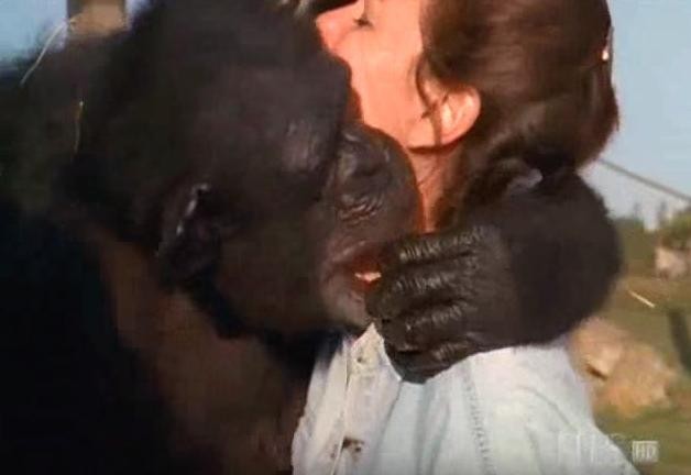 "Les chimpanzés m'ont appris la résilience", dit Linda, "Ils ont vécu des expériences terribles, mais ils ont été en mesure de pardonner."
