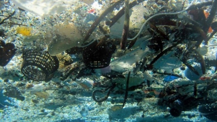 Wenn nicht ernsthaft etwas dagegen unternommen wird, schätzt man, dass es im Jahre 2050 mehr Plastikteile als Fische geben wird.