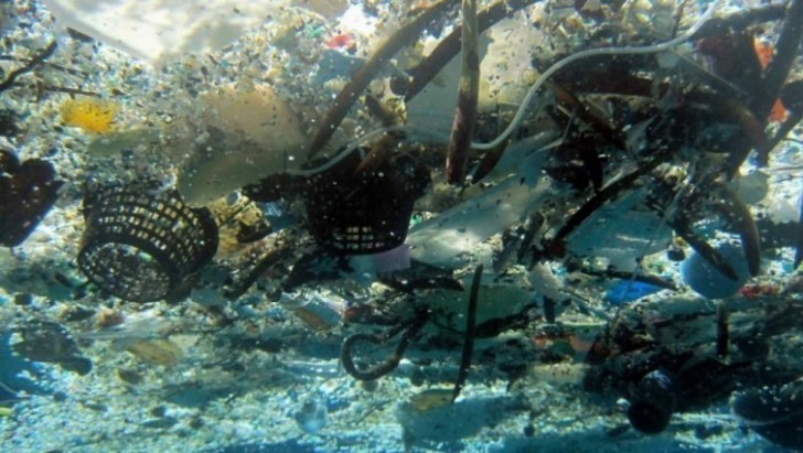 Om det inte händer någonting snart så kommer det finnas mer plastbitar än fiskar i havet år 2050.