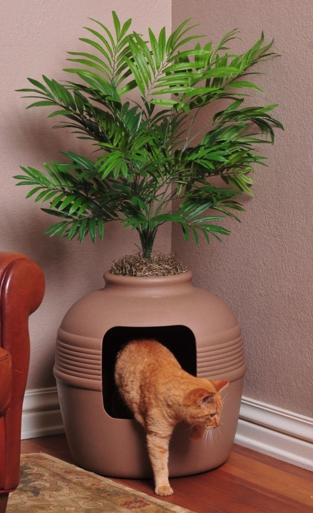 Lettiera per gatti nascosta nel vaso di una pianta (49 euro)