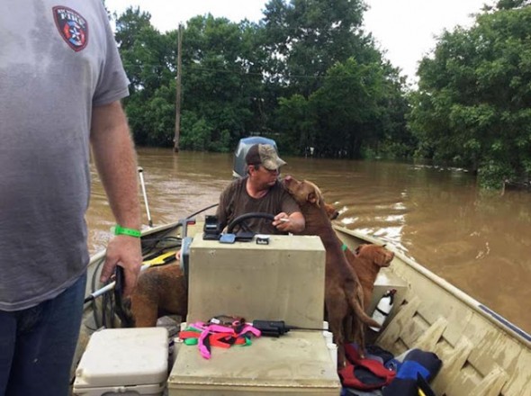 I soccorritori si sono detti increduli per il numero di cani abbandonati considerato che l'allarme inondazioni era stato dato da una settimana.