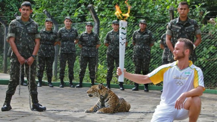 D'abord il l'utilise pour les photos, puis ils le tuent: la triste histoire du jaguar des Jeux Olympiques - 2