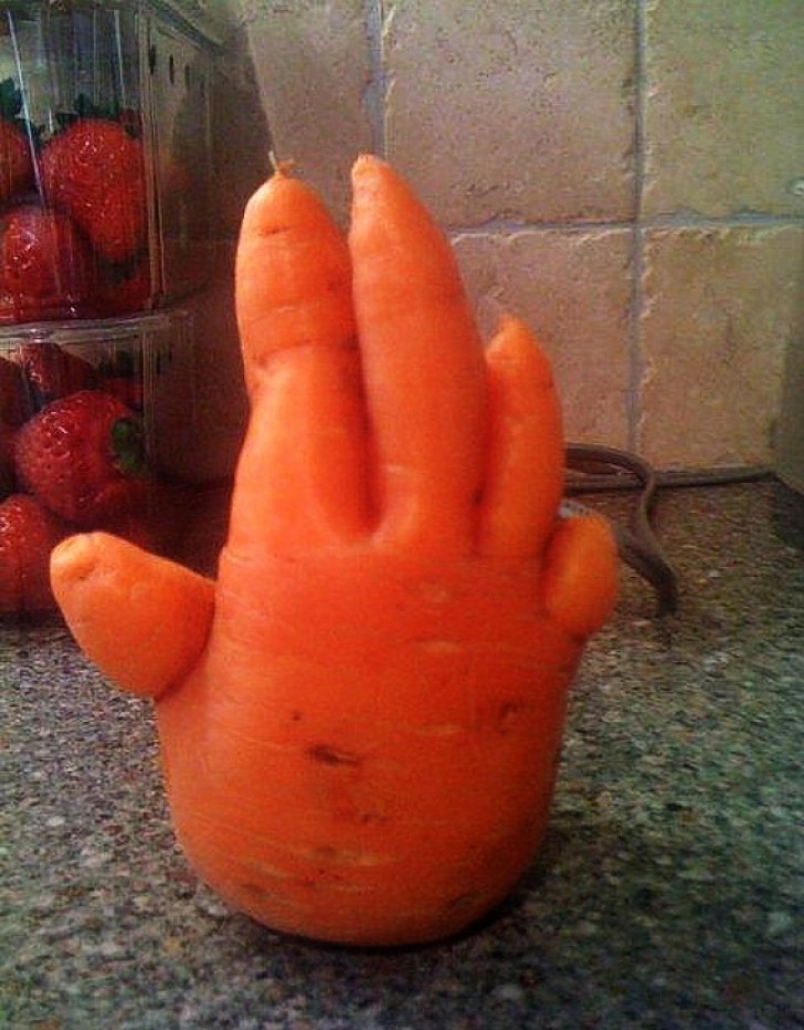 9. Une carotte géante ... à 5 doigts!