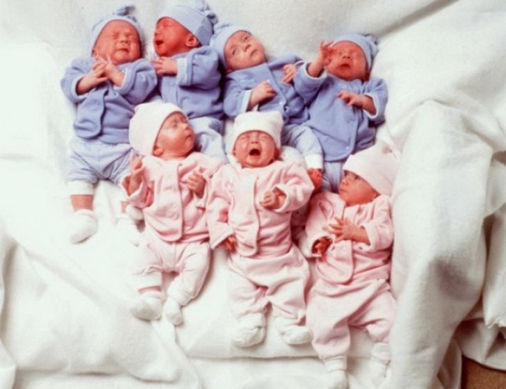 À la naissance, tous les nouveau-nés pesaient très peu: le plus petit pesait seulement 1,13 kg, tandis que le plus grand arrivait à 1,5 kg.