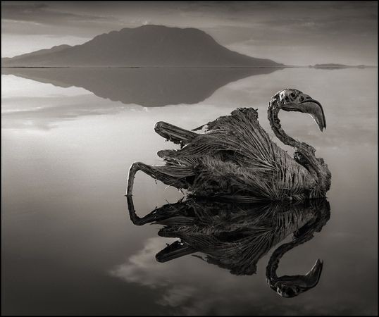Lac « pétrifiant » (Tanzanie)
