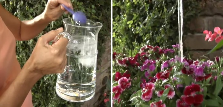 1. Voeg een eetlepel natriumbicarbonaat toe aan twee liter water en geef dit aan je planten: de planten blijven langer in bloei en het weert parasieten en schimmel af.