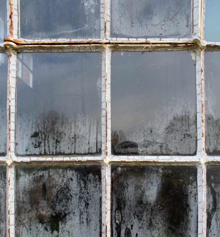 Fenster und Glas putzen