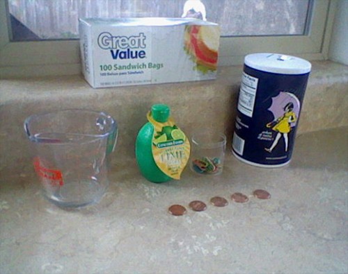 Mexican restaurant owners are accustomed to hanging a bag full of water, with coins inside, to ward off flies.