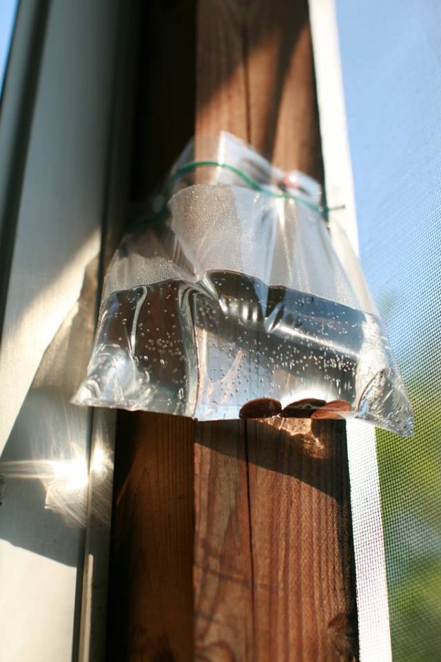Un simple truco que podra resolver de manera definitiva el problema de las moscas! Colgar la bolsa plastica fuera de la puerta y se daran cuenta de la diferencia!