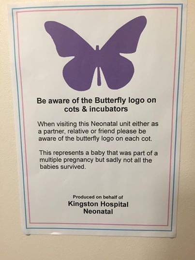 Avez-vous déjà vu un autocollant en forme de papillon à côté d'un bébé? Voilà ce que cela signifie - 3