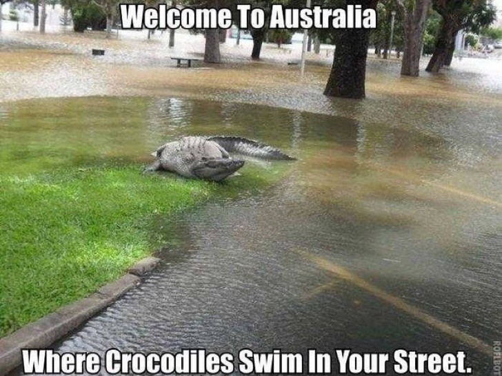 "Bienvenue en Australie, où les crocodiles nagent dans les rues"