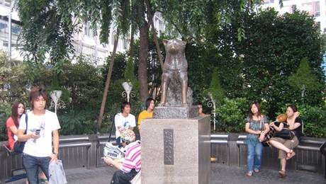 L'histoire d'Hachiko a tellement frappé l'opinion public qu'une statue a été érigée en son honneur .