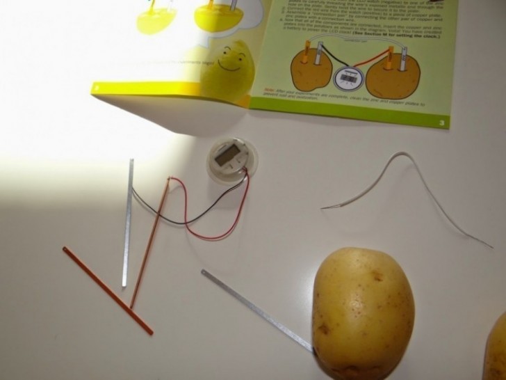1. Inserite in una patata l'asticella di zinco e nell'altra quella di rame; poi collegate le due asticelle con un filo.