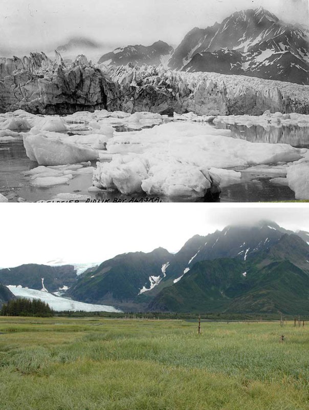 Glacier Pedersen, Alaska, en 1930 et en 2005