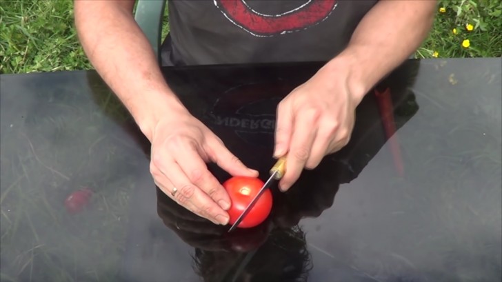 Begin met het snijden van een tomaat in stukjes. Je hebt de middelste stukjes nodig, daar zitten de meeste zaadjes in. De buitenste plakken kan je weggooien.