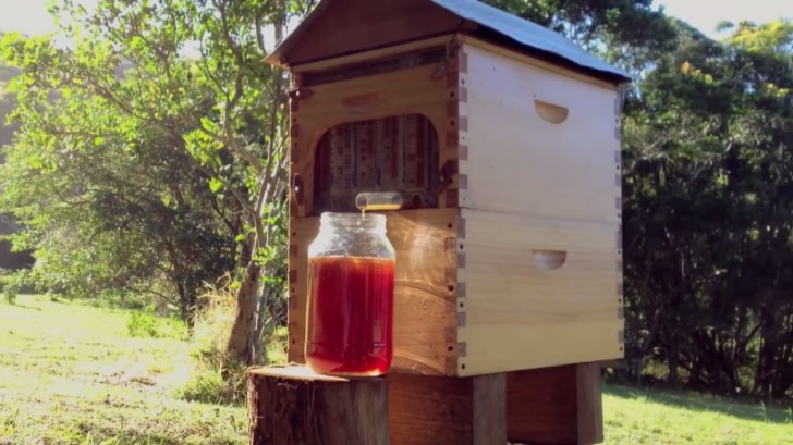 Flow Hive es un sistema que permite de extraer miel de la colmena sin molestar las abejas no hay ningun cajon de abrir, ningun telar de quitar.