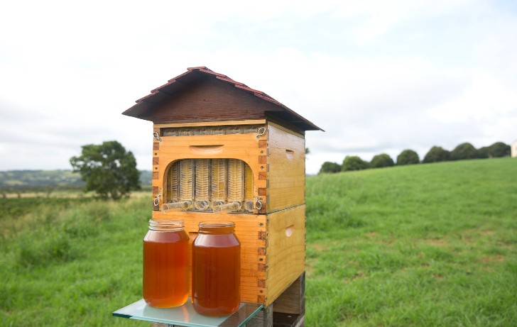 Quali sono i risultati di Flow Hive? Con un solo telaino tecnologico è possibile ricavare 3 kg di miele, estraendolo in tutta comodità.