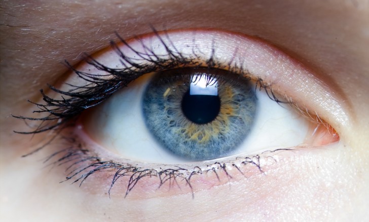 Bisher gibt es die Technologie für Patienten mit pigmentierter Retina und Makular-Degeneration