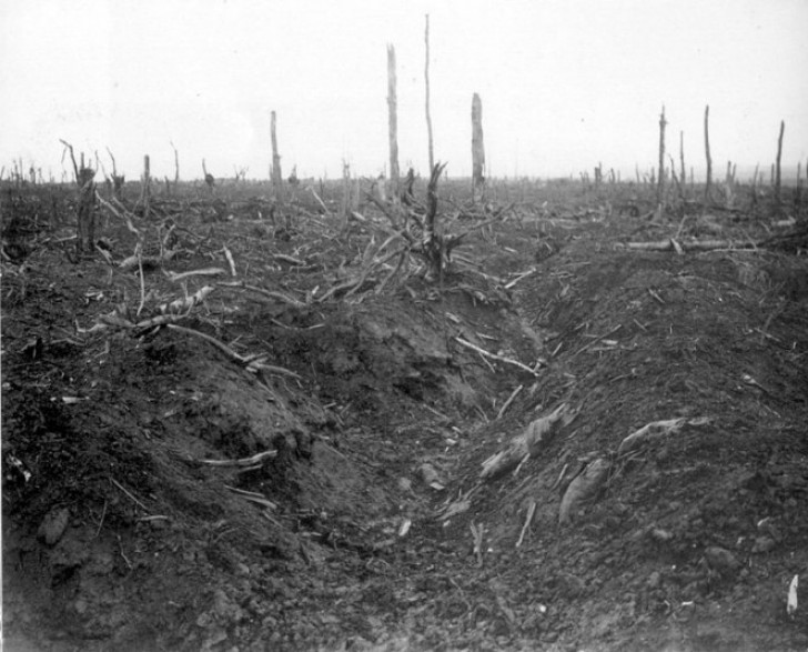 Het gebied is één van de strijdtonelen van de Slag om Verdun (1916), één van meest gewelddadige en bloedige veldslagen van de Eerste Wereldoorlog. 