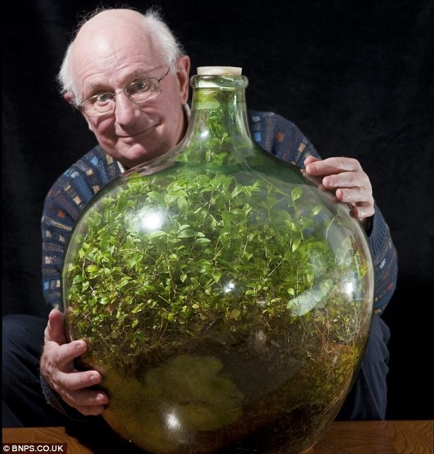 David Latimer hat 1960 einige Samen in diese Flasche gesteckt. Dabei hat er nicht im geringsten damit gerechnet, was 50 Jahre später daraus werden würde.