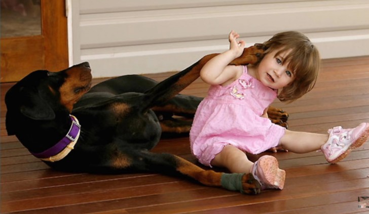 Had it not been for Khan's quick intervention the child would have been bitten. After only four days of getting to know this little girl, the Doberman has protected her, sacrificing himself. A true hero!