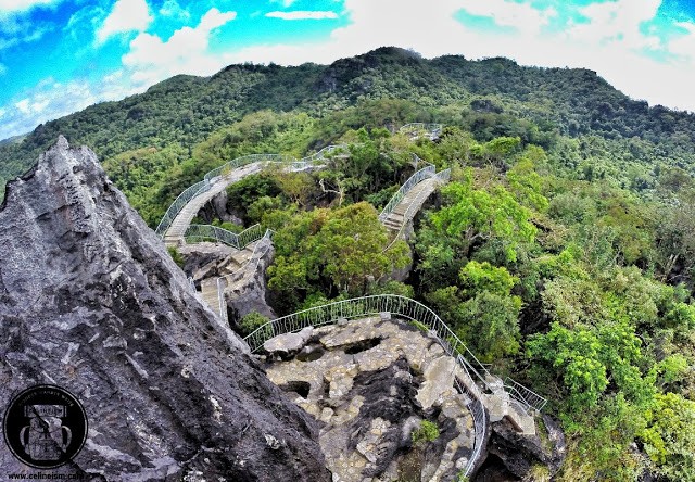 Le falesie di rocce calcaree di 66 milioni di anni permettono di raggiungere punti panoramici da cui sia ha una visione a 360° della foresta filippina.