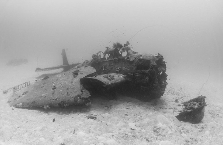 La stessa Brandi ha commentato la scoperta rimarcando la peculiarità di questo cimitero subacqueo: fare le immersioni fotografando i resti di navi affondate è comune...