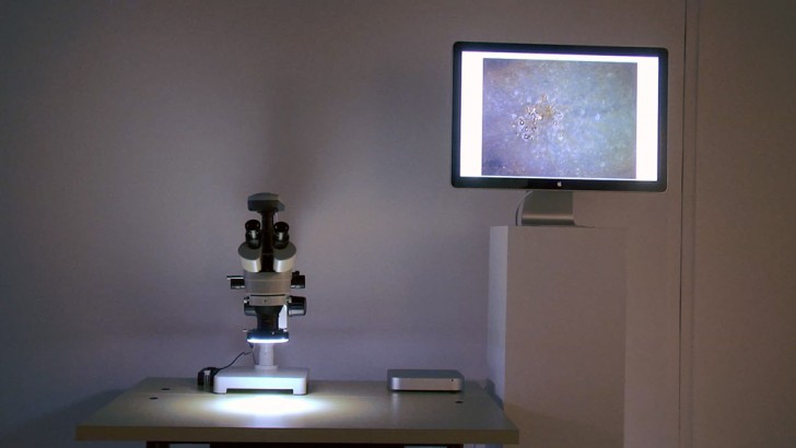 Il tavolo di lavoro è collegato a un microscopio elettronico a scansione che mostra lo svolgimento del processo in tempo reale.