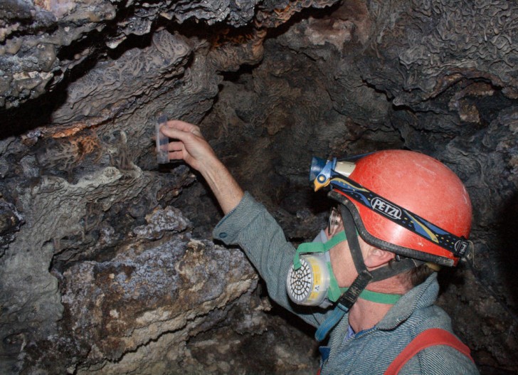 I microbiologi si sono avventurati per la prima volta all'interno della Sulphur Cave, una grotta inesplorata nella quale c'è una colonia di organismi che vive grazie allo zolfo prodotto dall'attività geotermica del sottosuolo.