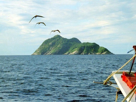 I serpenti si cibano dei numerosi uccelli migratori che utilizzano l'isola come punto di ristoro.