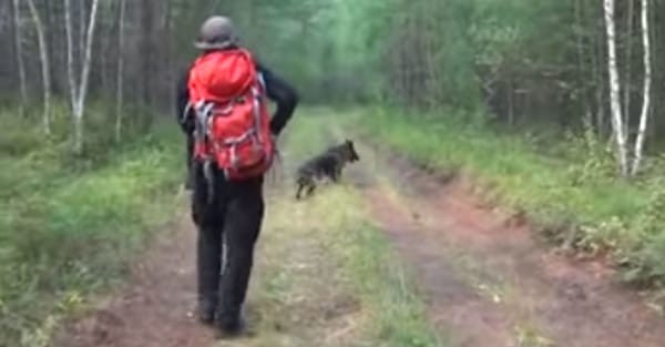Hunden, som heter Kyrachaan, var väldigt nervös och det såg ut som om han ville övertala människorna att följa med honom i skogen.
