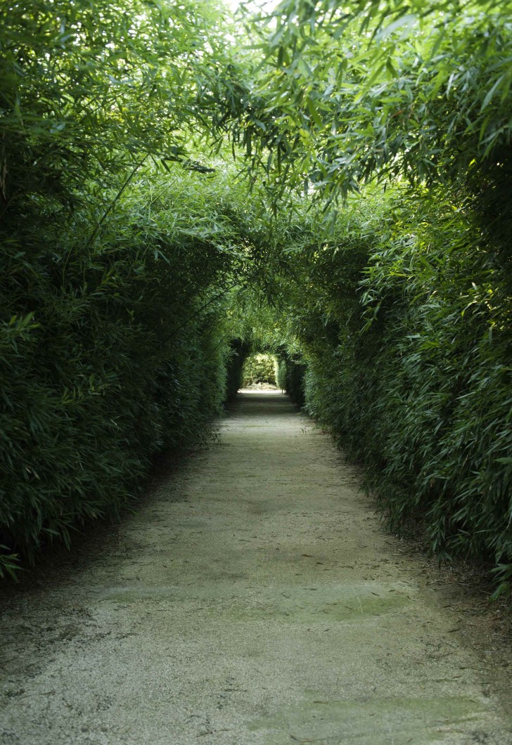 Interamente composto da bambù, per un totale di 200mila piante, il labirinto si estende per 7 ettari di terreno.