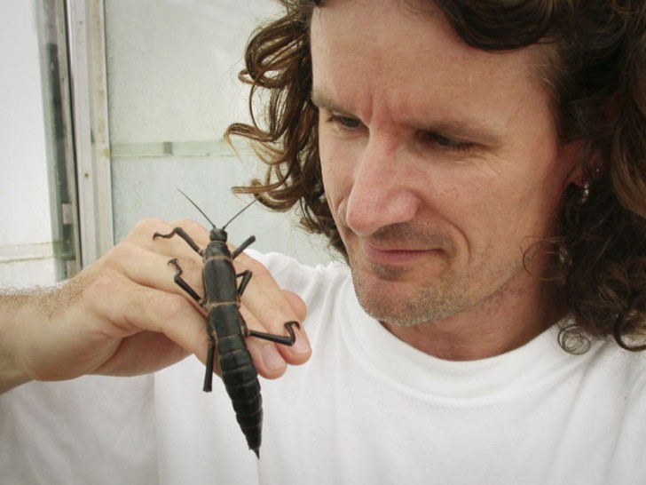 En 2001, les scientifiques David Pride et Nicholas Carlile sont allés sur l'île pour étudier les insectes, qui venaient en fait de l'île voisine Lord Howe!