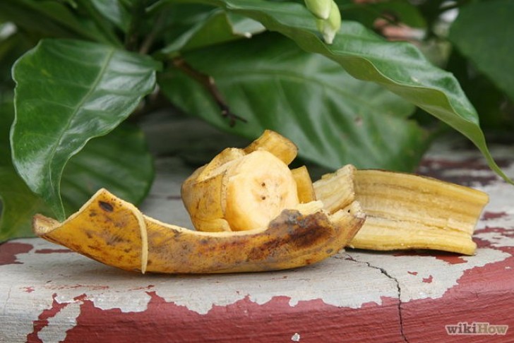 9. Remplissez votre jardin de papillons en plaçant des peaux de banane ici et là!