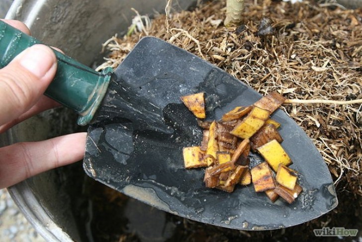15. Maak je zelf compost? Vergeet dan niet om bananenschillen daaraan toe te voegen!