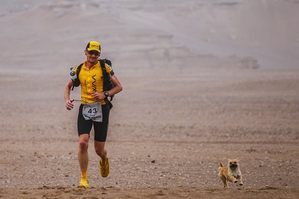 Des 102 participants, le chien a décidé de suivre Dion et a réussi à faire la moitié de l'ensemble de l'itinéraire.
