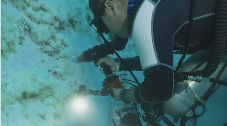 L'expédition de plongeurs et d'un robot sous-marin a permis le prélèvement de sédiments sur les parois et sur le fond du trou.