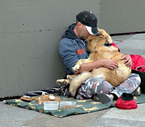 Les animaux et les sans-abri: quelques fois ils sont exploités pour créer de la compassion, mais d'autres fois, ils deviennent les seuls compagnons de voyage de personnes ayant peu de contact avec la société.