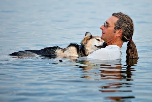 Come possiamo ricambiarli: ricordandoci che anche loro hanno bisogno di cure! Qui vediamo un esempio di idroterapia per cani, un metodo riabilitativo che fa bene proprio a tutti.
