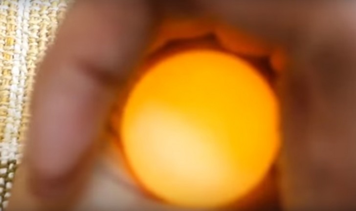 1. Iluminar o ovo com uma forte luz: você vai ter essa visão meio transparente
