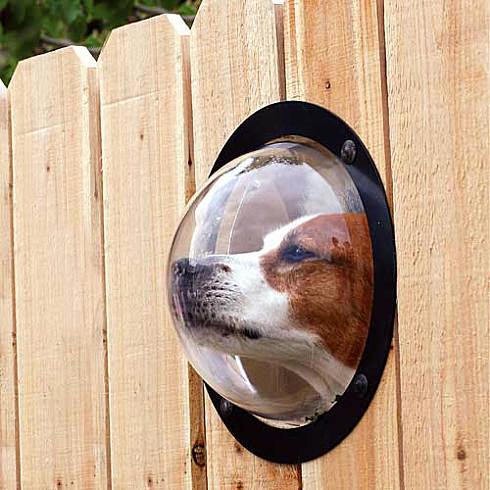 Al vostro cane non basta l'ampio giardino? Ecco un oblò trasparente per soddisfare la sua curiosità.