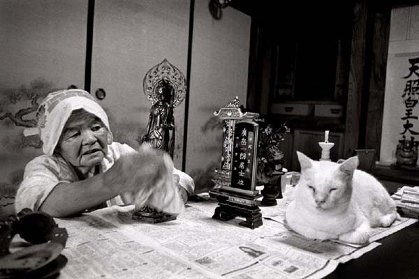 Une vieille femme trouve un chat en train de mourir: voici les images de rêve prises par la petite-fille - 7